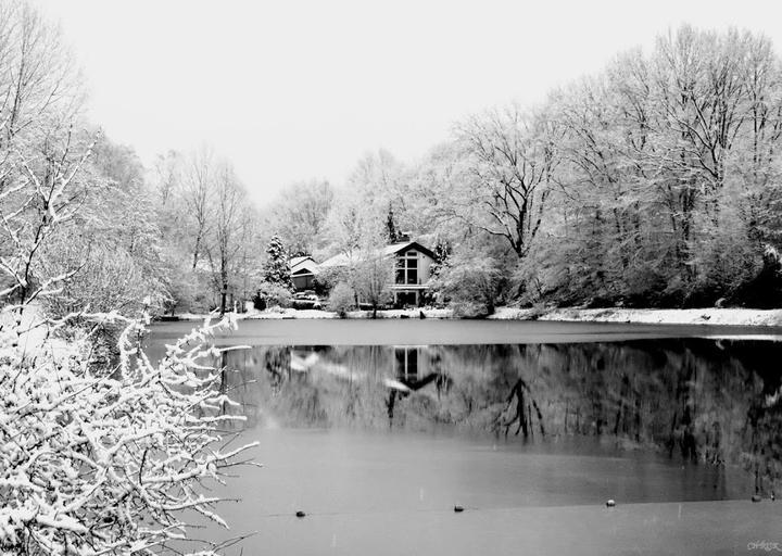 Grillstube Zum Fischweiher