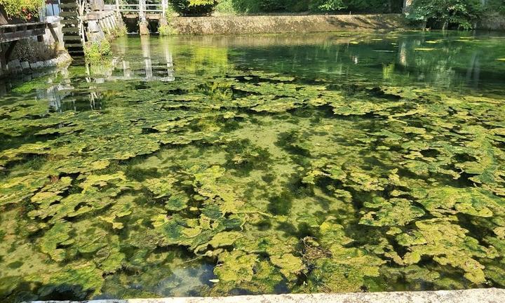 Cafe am Blautopf